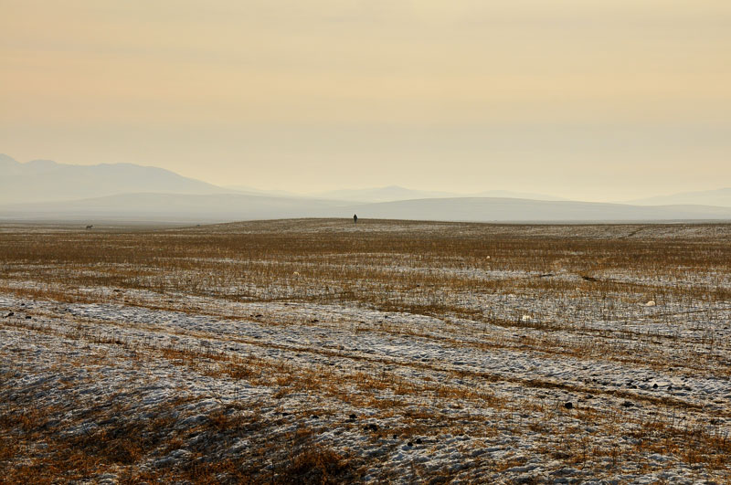 Mongolie